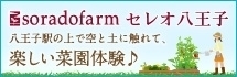 soradofarmセレオ八王子