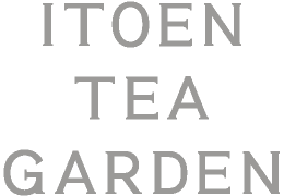 ITOEN TEA GARDEN