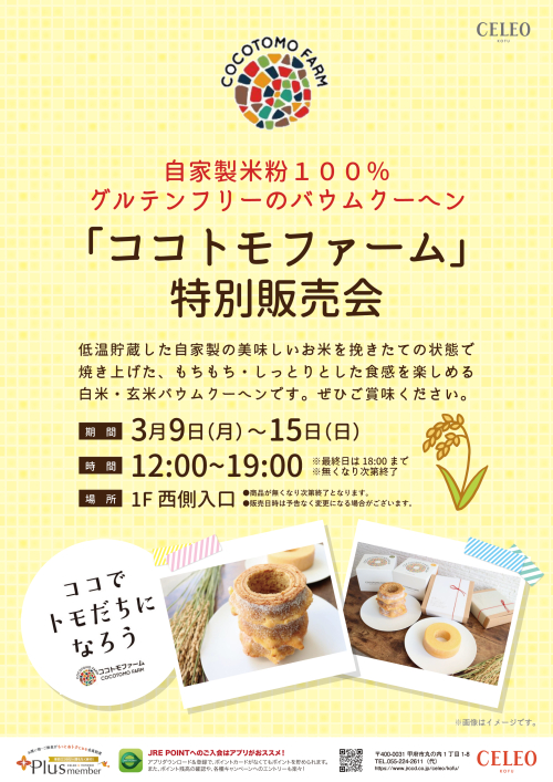 ★ココトモファームのバウムクーヘン販売！