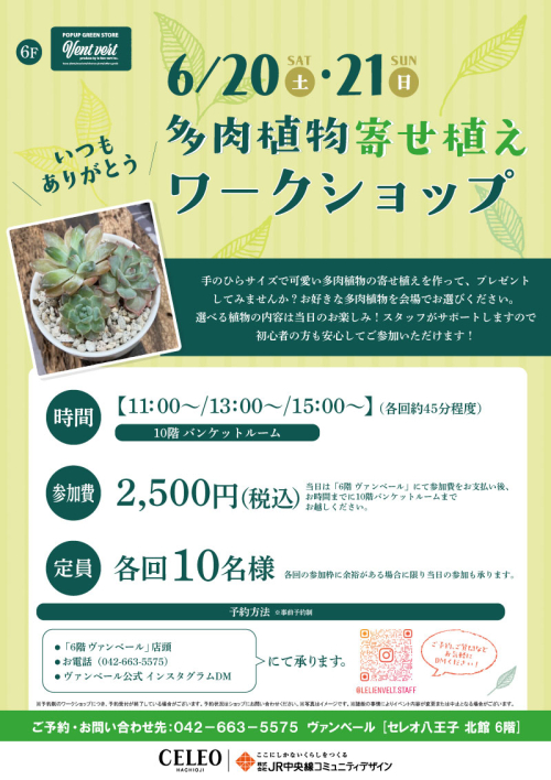 ～いつもありがとう～ 多肉植物寄せ植えワークショップ