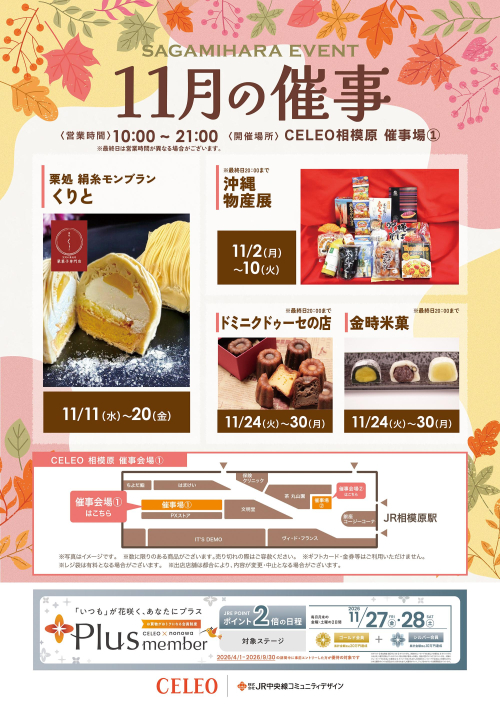 11月の催事カレンダー🍂（催事会場①）
