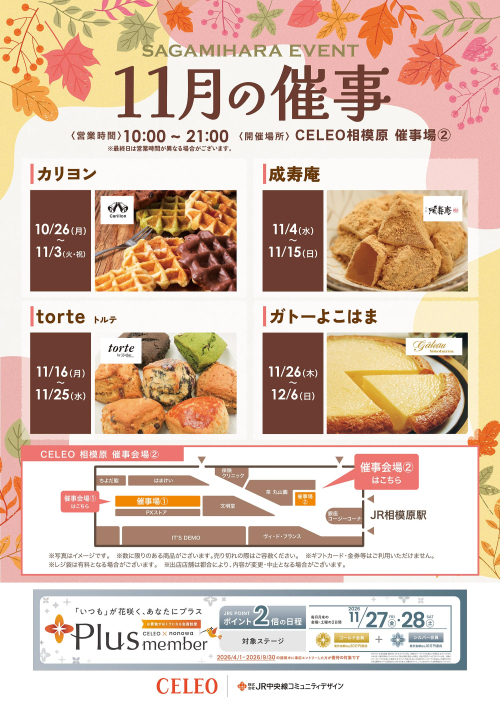 11月の催事カレンダー🍂（催事会場②）