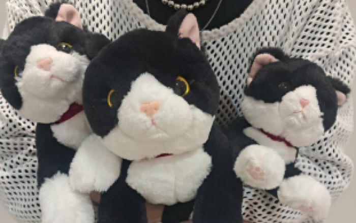 鎌倉ねこサロン