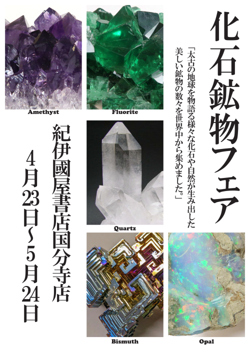 【期間限定】化石鉱物フェア