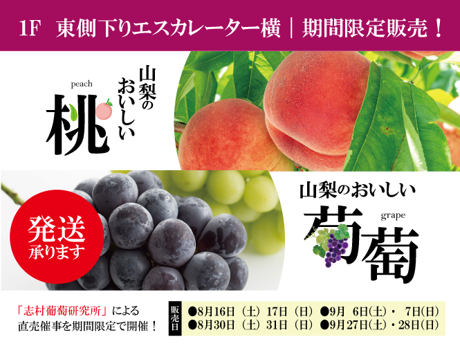 志村葡萄研究所による期間限定直売