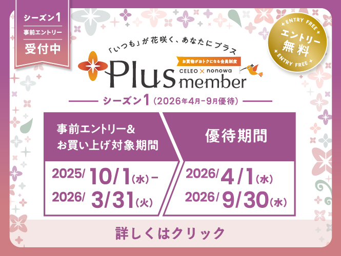 Plus member