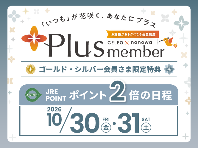 Plus member ２倍